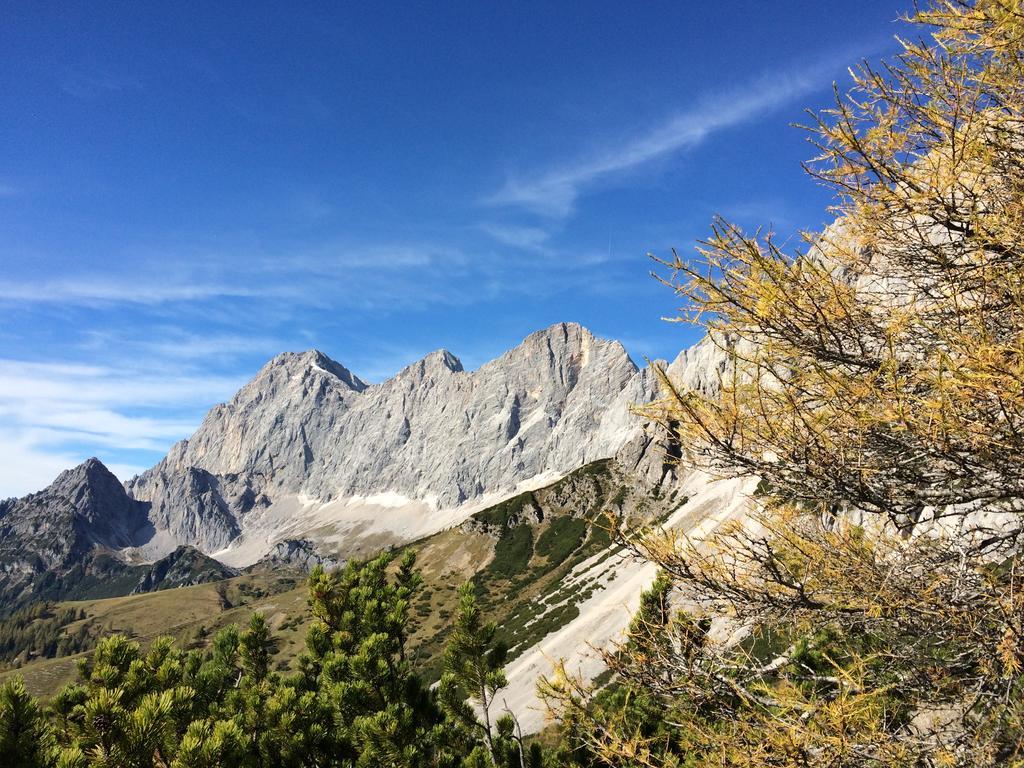 Pension-Greimelbacherhof Ramsau am Dachstein Buitenkant foto