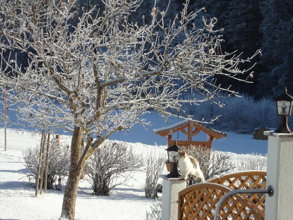 Pension-Greimelbacherhof Ramsau am Dachstein Buitenkant foto